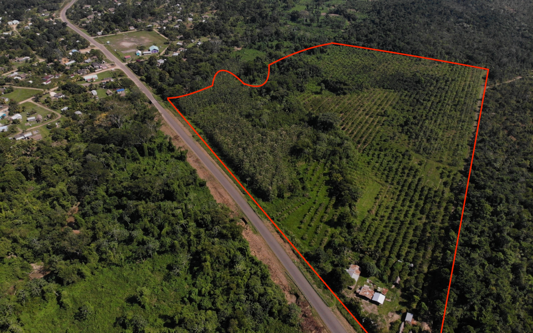 50 Acres on Southern Highway