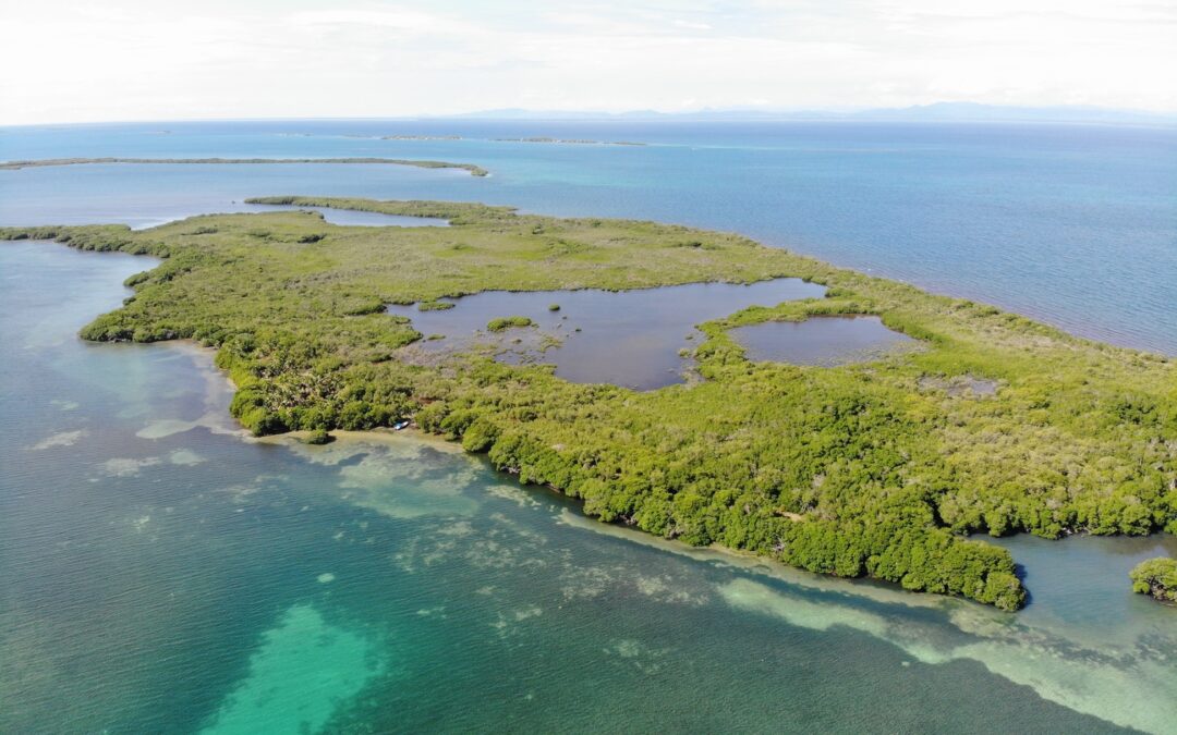 2.17 Acres on Tobacco Caye Range –  Reef Side