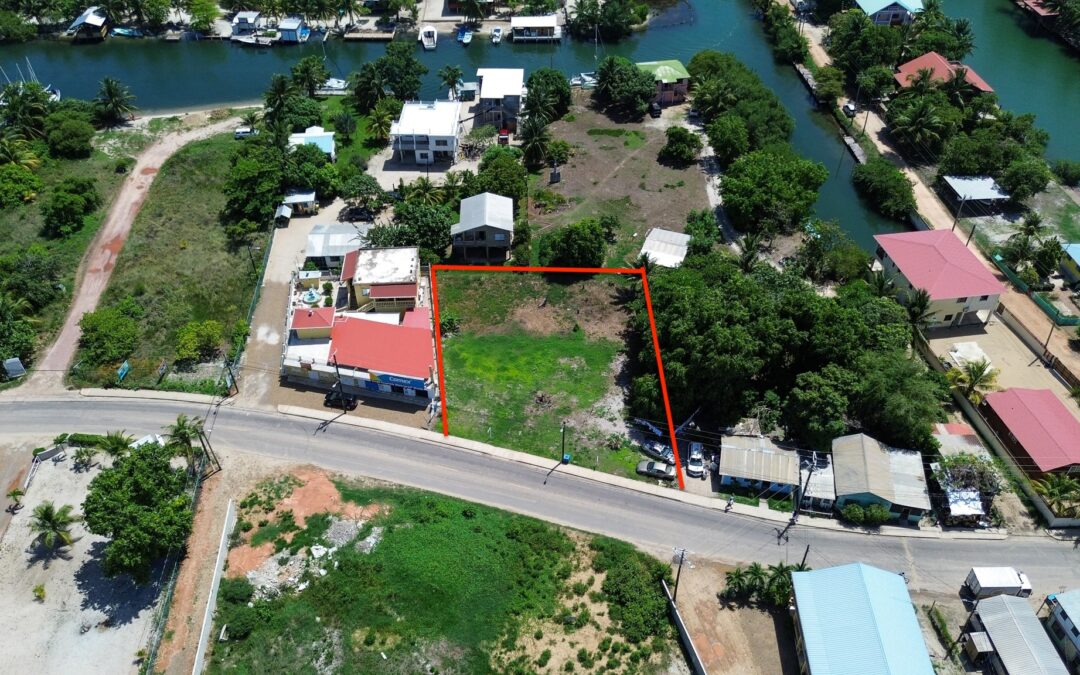 Prime Dual Lot Package in Placencia Village