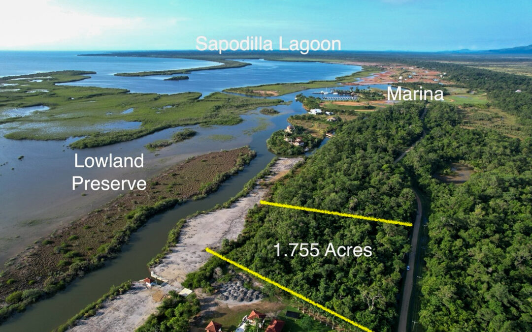 Waterfront Lot Overlooking Sapodilla Lagoon and Lowland Preserve